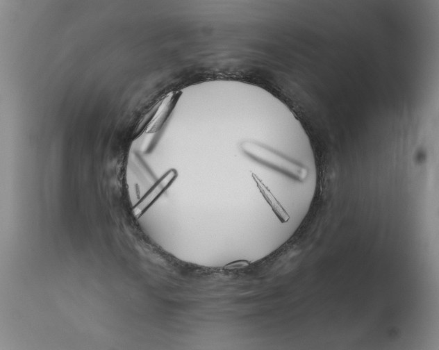 X0000111011010200907101310