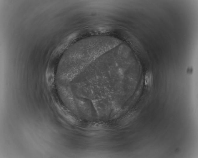 X0000111011011200907101310