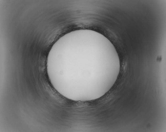 X0000111011012200907101310