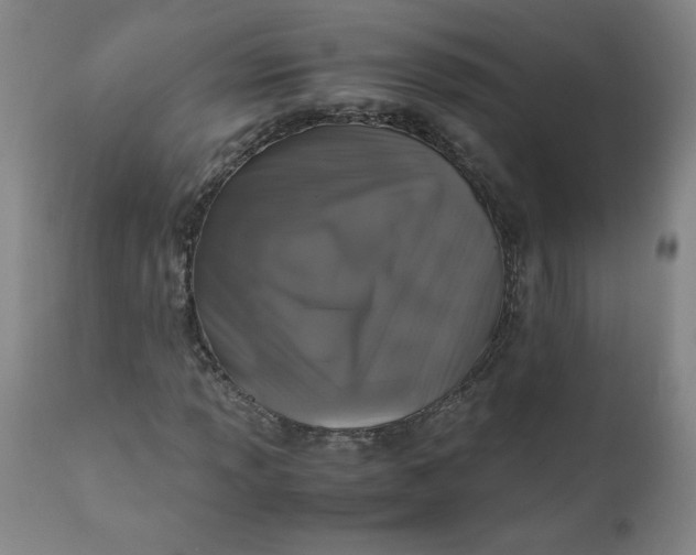 X0000111011013200907101310