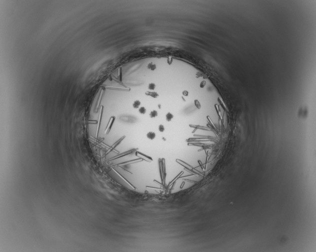 X0000111011014200907101310