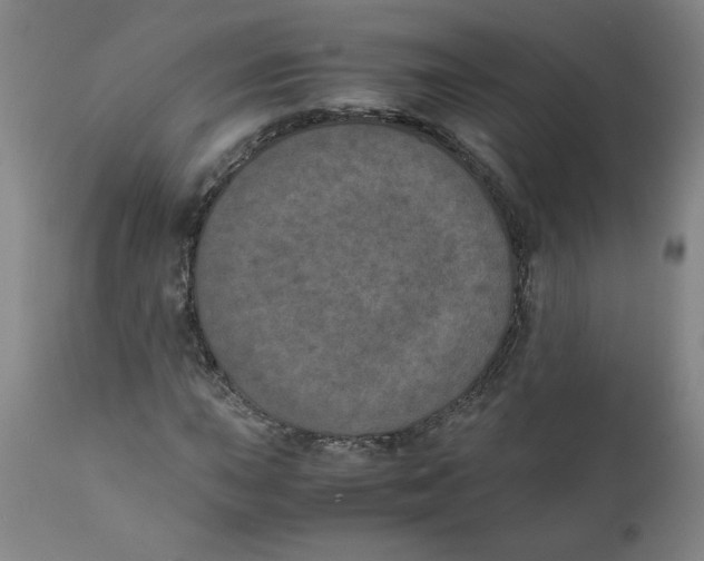 X0000111011015200907101310