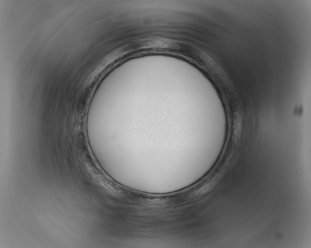 X0000111011017200907101310