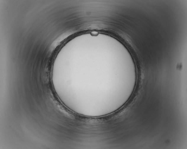 X0000111011018200907101310