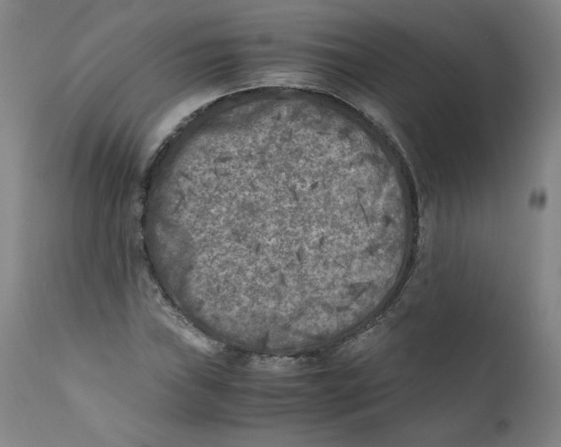 X0000111011019200907101310