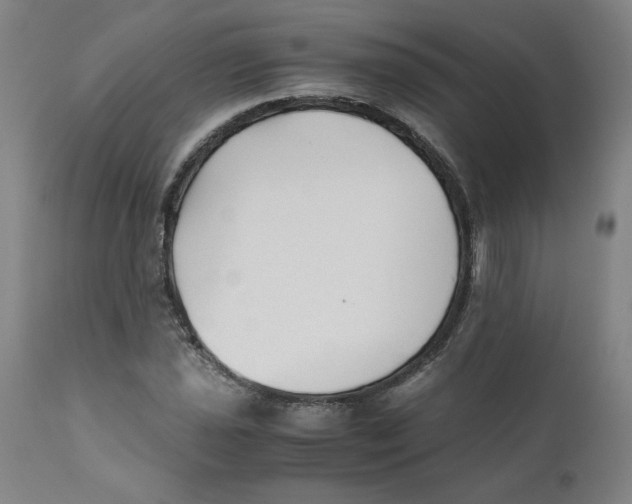 X0000111011021200907101310
