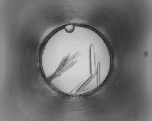 X0000111011022200907101310