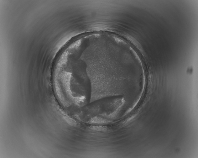 X0000111011023200907101310
