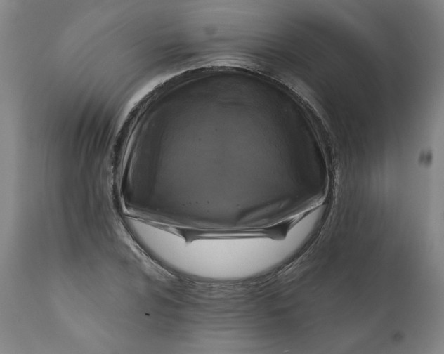 X0000111011024200907101310