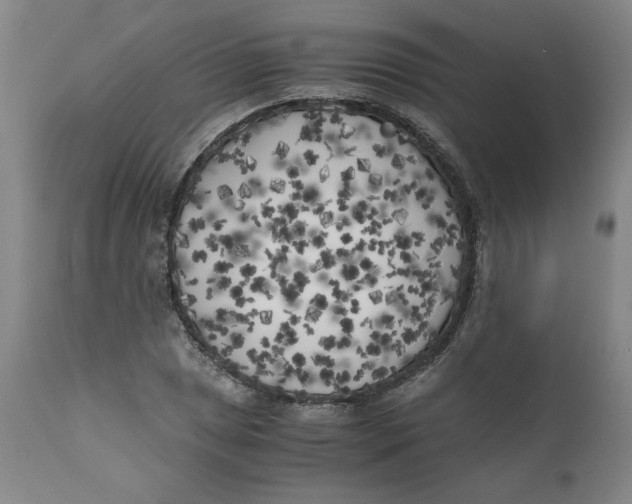 X0000111011025200907101310