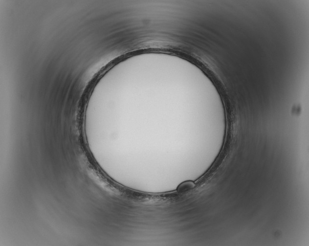 X0000111011026200907101310