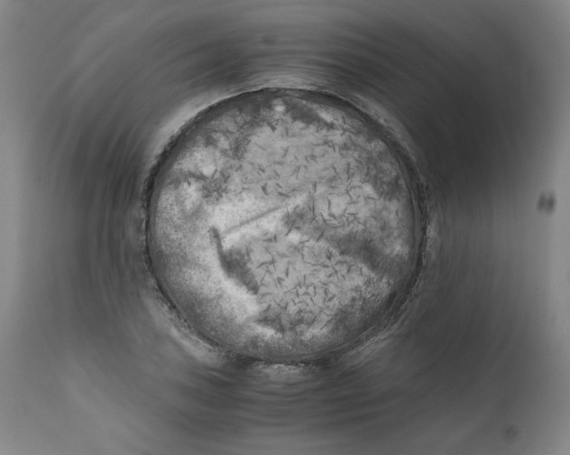X0000111011027200907101310