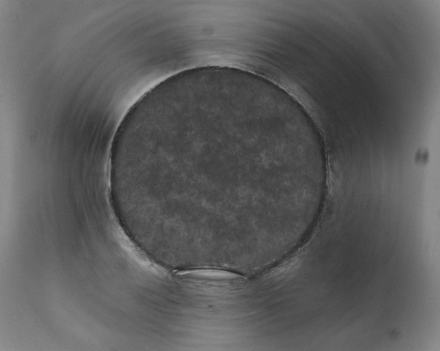 X0000111011028200907101310