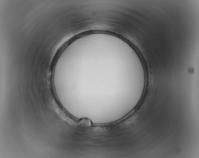 X0000111011029200907101310