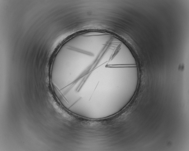 X0000111011030200907101310