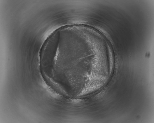 X0000111011031200907101310