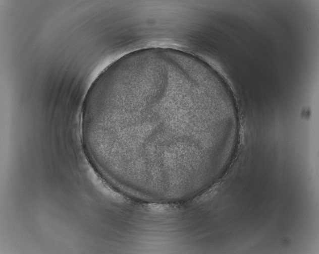 X0000111011032200907101310