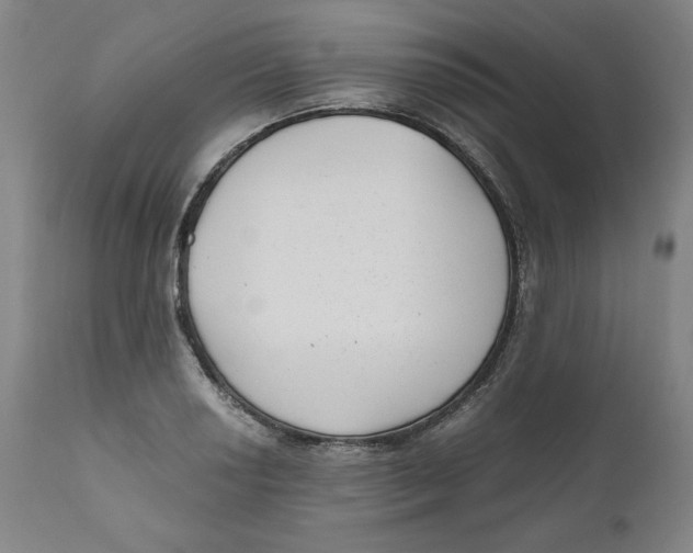 X0000111011034200907101310