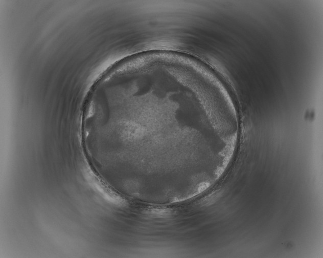 X0000111011035200907101310