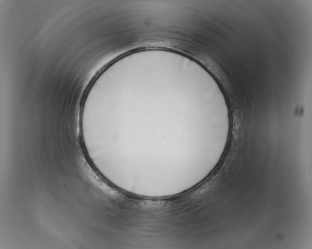 X0000111011036200907101310
