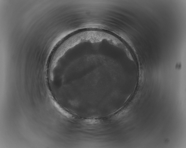 X0000111011037200907101310