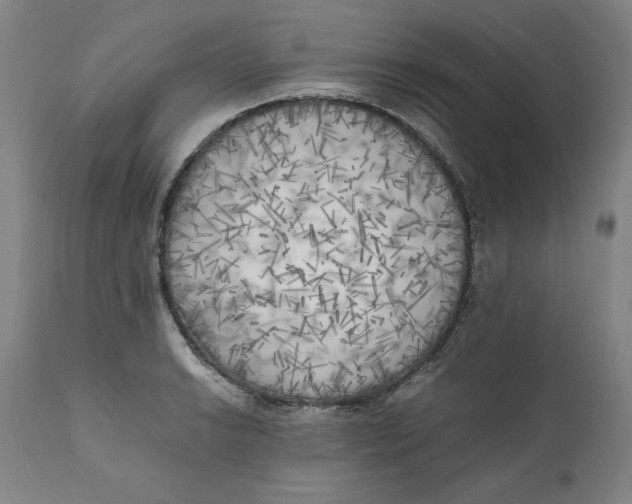 X0000111011038200907101310