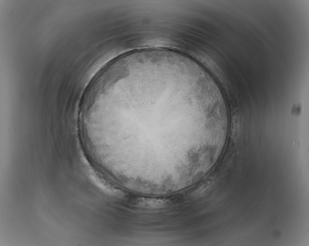 X0000111011039200907101310