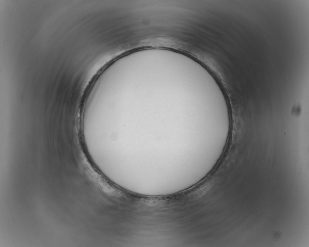 X0000111011040200907101310