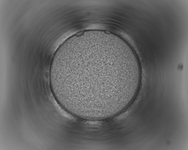 X0000111011041200907101311