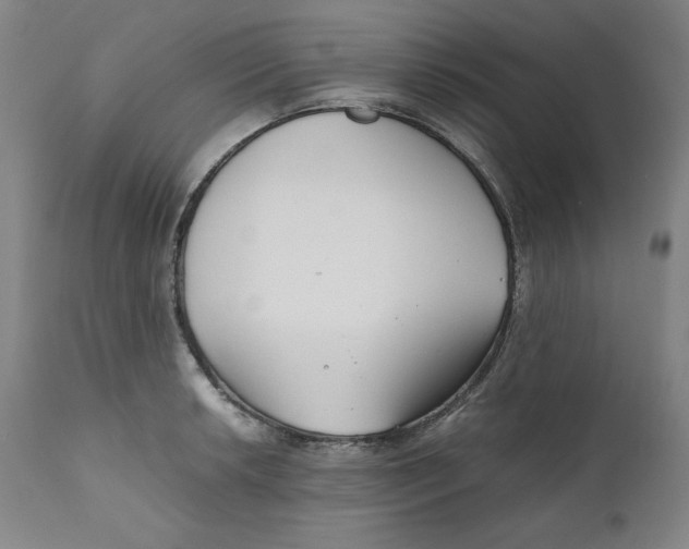X0000111011042200907101311