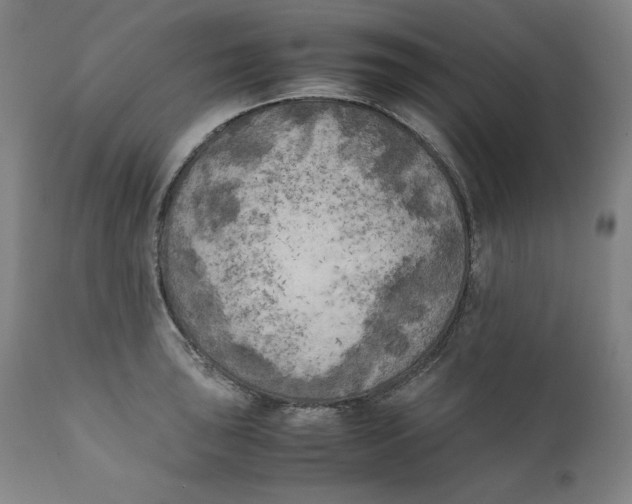 X0000111011043200907101311