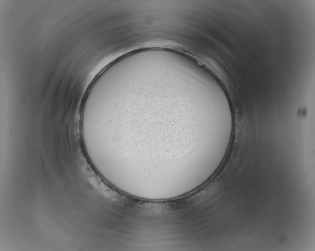 X0000111011044200907101311