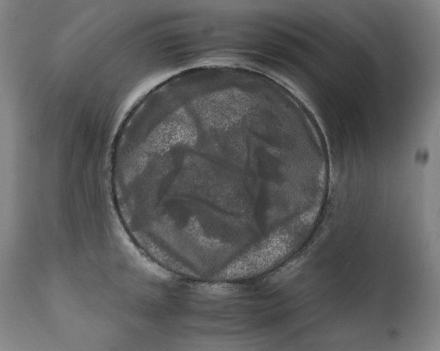 X0000111011045200907101311