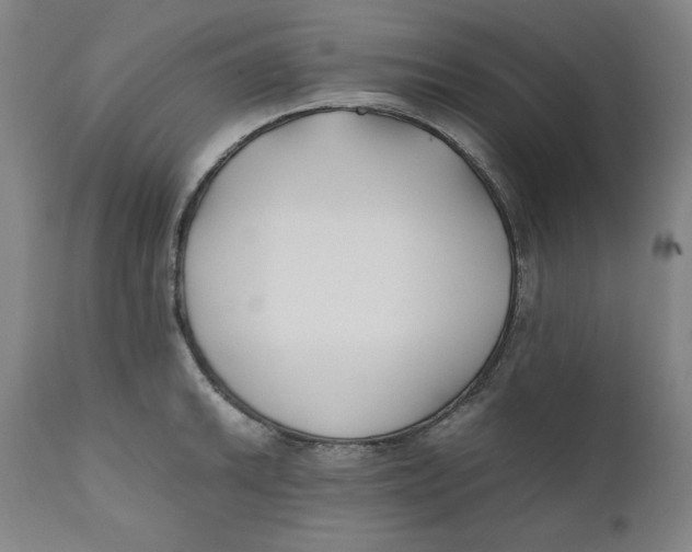 X0000111011046200907101311