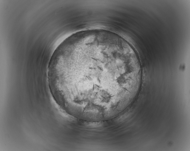 X0000111011047200907101311