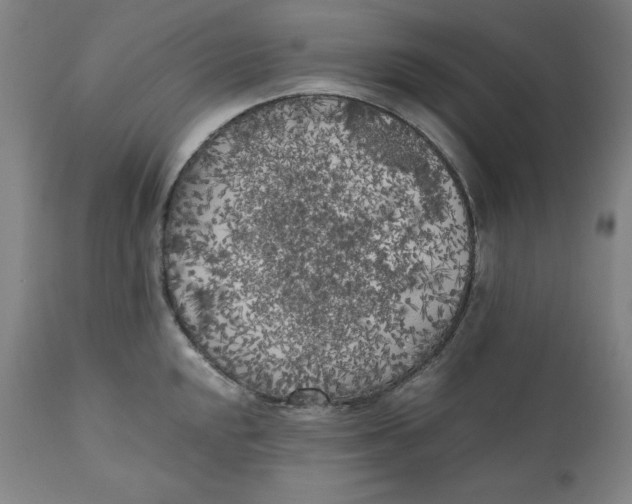 X0000111011048200907101311