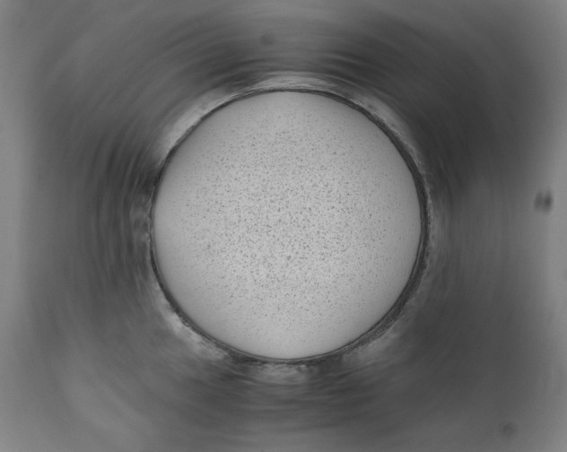 X0000111011049200907101311