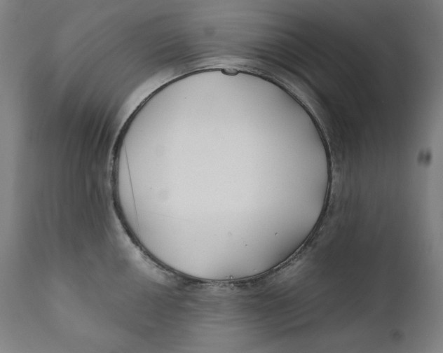 X0000111011050200907101311