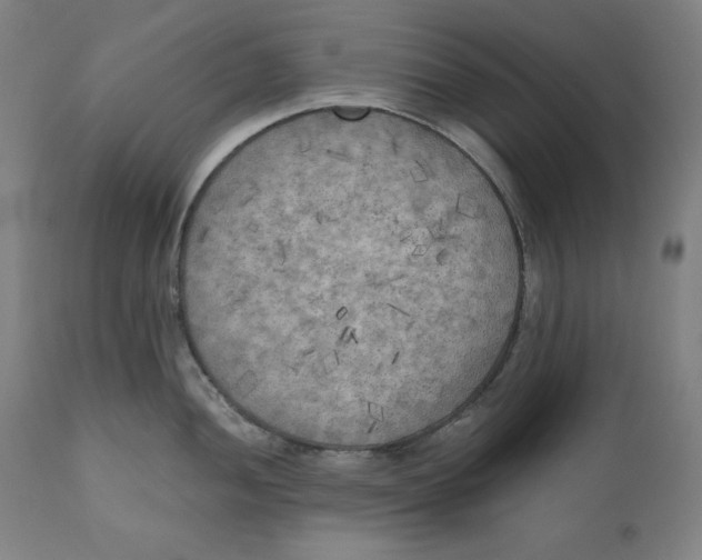 X0000111011052200907101311