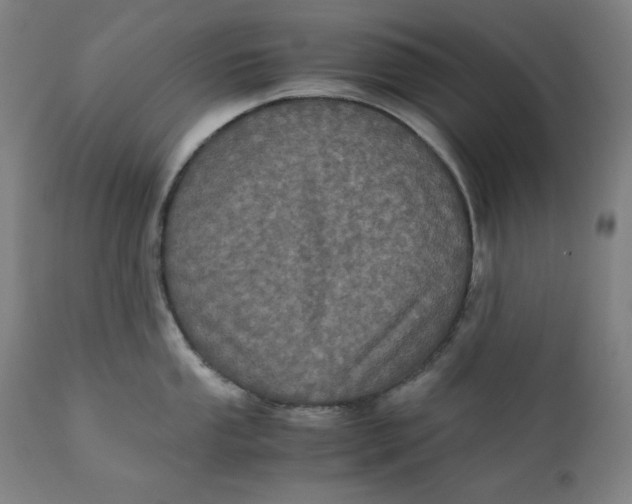 X0000111011053200907101311