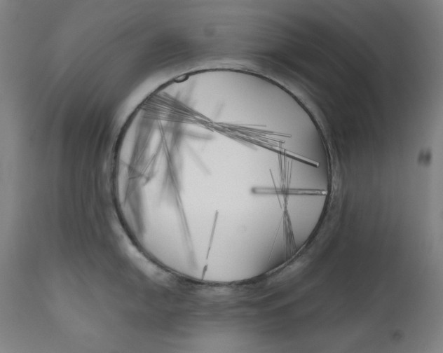 X0000111011054200907101311