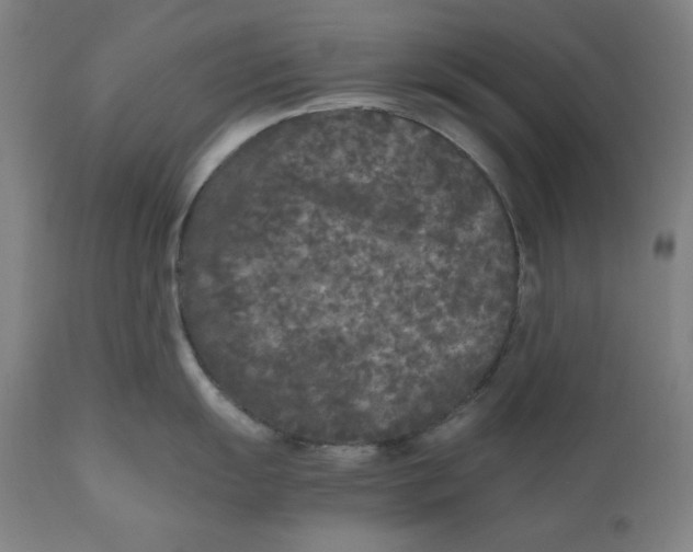 X0000111011055200907101311