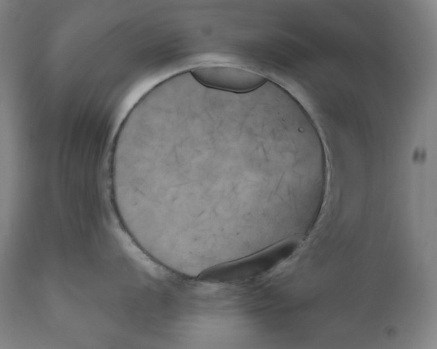 X0000111011056200907101311