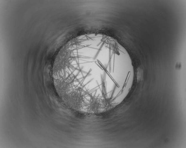 X0000111011059200907101310