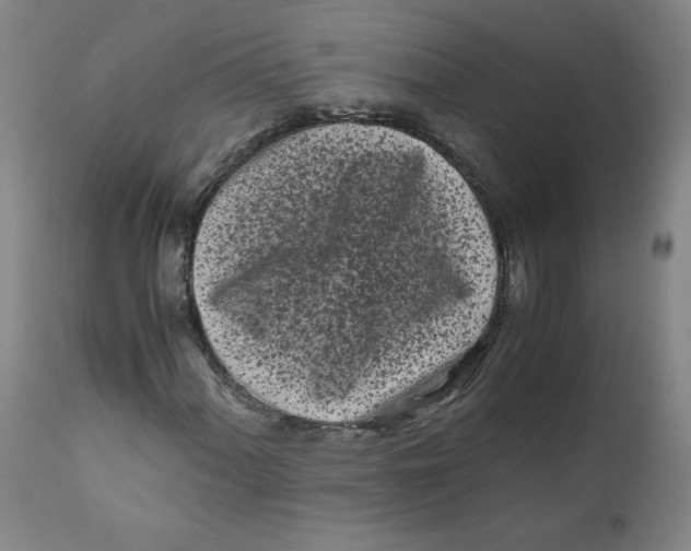 X0000111011060200907101310