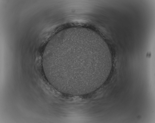 X0000111011061200907101310