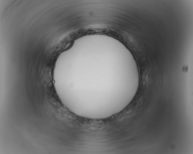 X0000111011062200907101310