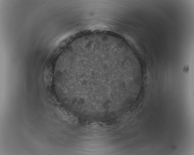 X0000111011063200907101310