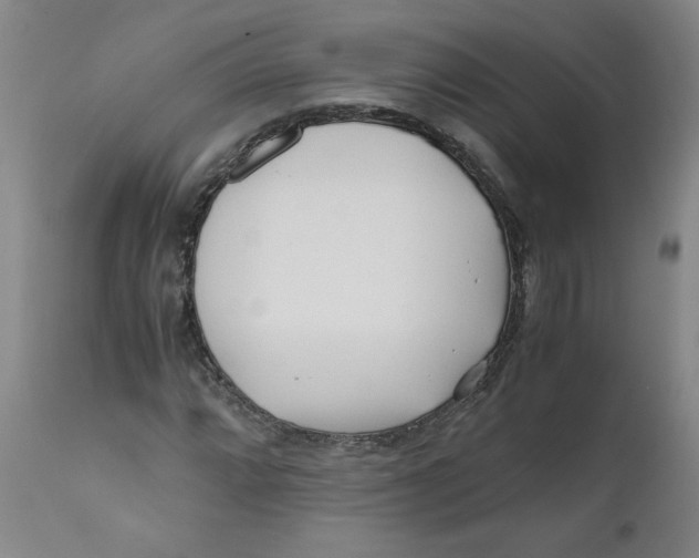 X0000111011064200907101310