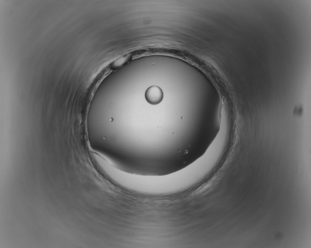 X0000111011065200907101310